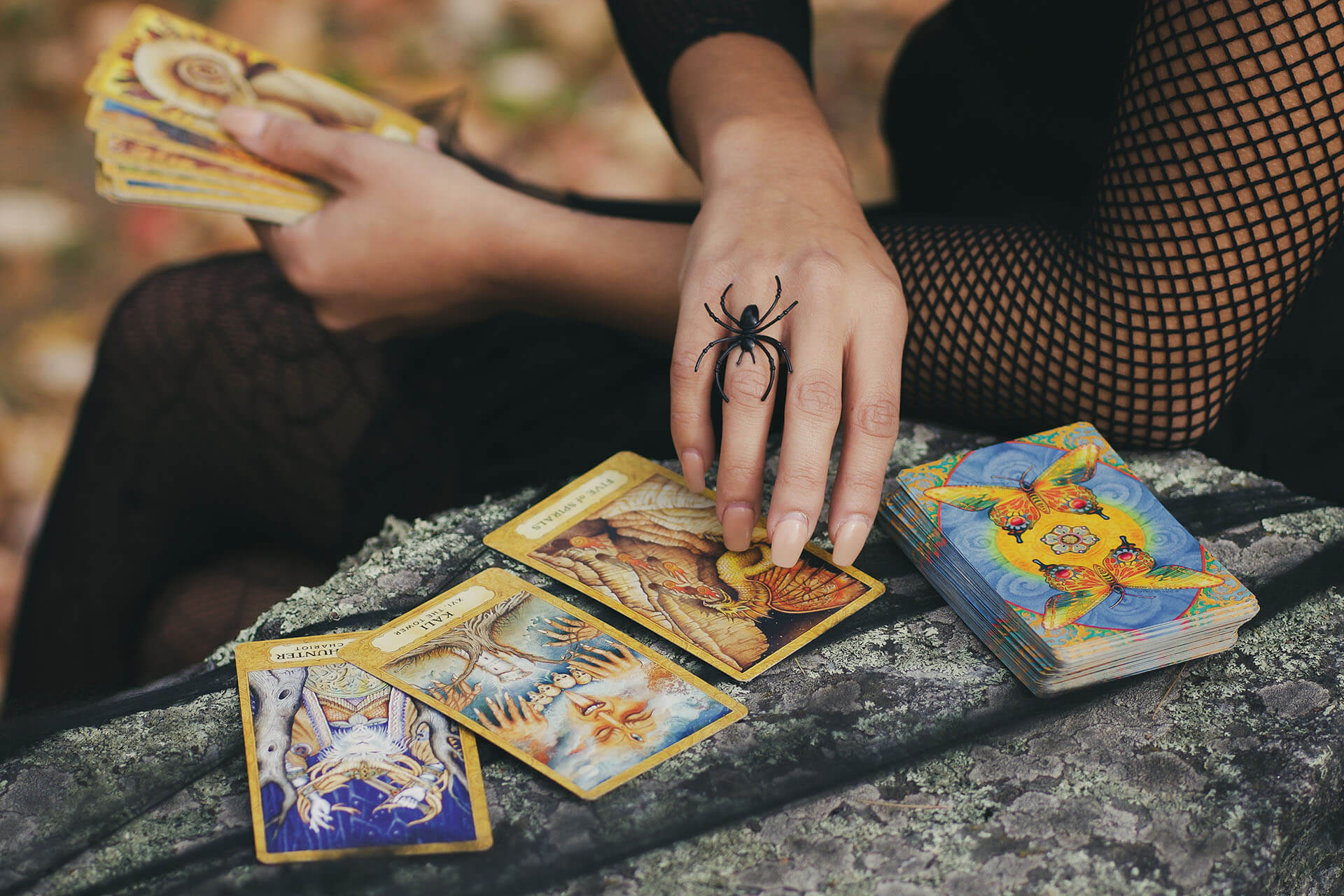 tarot radings